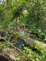 /album/oberbreidenbach-2024/wandertag-21-jpg/